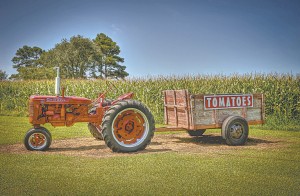 One of the tractors on display at Morris Farm Market.
