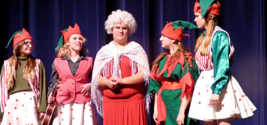 Mrs. Claus and elves planning a Christmas surprise birthday for Santa.