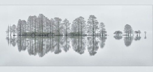 Meditation by Eve Turek