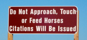 Warning sign about the Corolla Wild Horses.