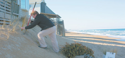 Donnie King working to preserve the beach. Photo K. Wilkins Photography.