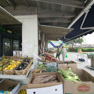 Tar Heel 2 at Seagate North in Kill Devil Hills. Thirty years of working with local farmers.