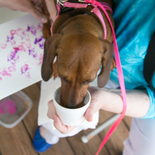 Sophie Bell samples a Doggie Daiquiri.