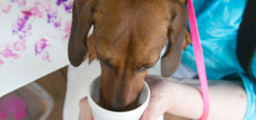 Sophie Bell samples a Doggie Daiquiri.