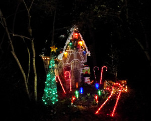 Winter Lights at the Elizabethan Gardens.