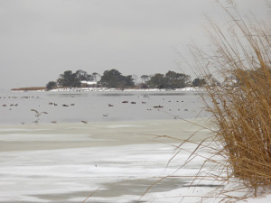 Kitty Hawk Bay January 27, 2014.