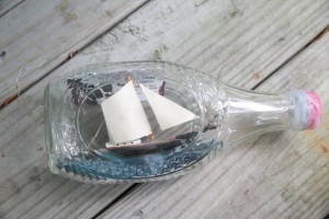 Ship in a bottle. The Boozhyot. Photo Kati Wilkins