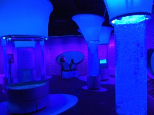 Jellyfish gallery. A welcome respite for adults.