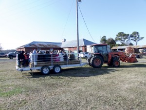 Hayrides for kids all day long.