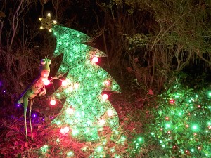 Happily waiting by a Christmas tree.