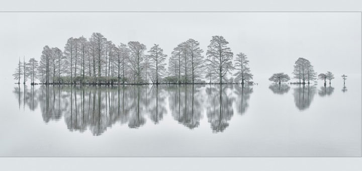 Meditation by Eve Turek