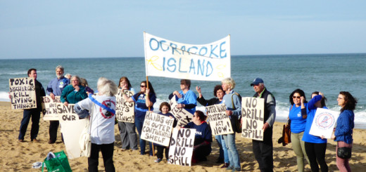 Organizing on the beach for a group photo. The signs from Ocracoke were brought out of the closet from the attempt in the 1990s to lease oil/gas sites off North Carolina.