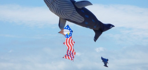 Life-sized blue whale kite flying. In the foreground is Bob Lauder's quad line American flag kite.